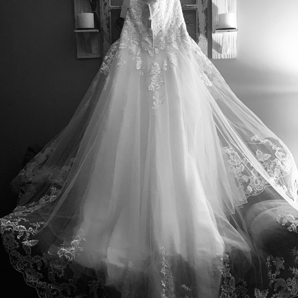 David bridal wedding dress size 12 - Picture 8 of 11